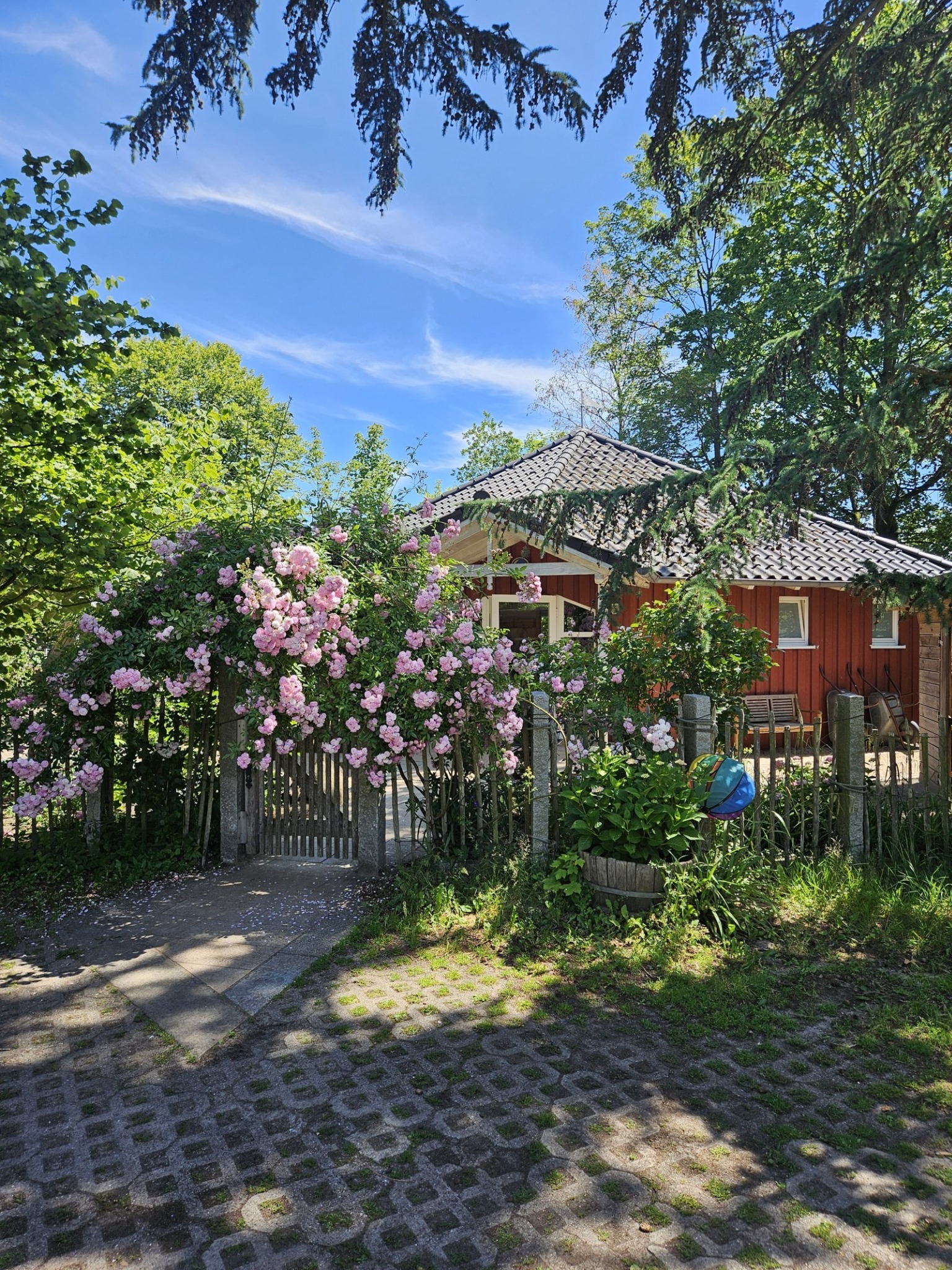 Außenansicht des Kindergartens mit blühendem Garten